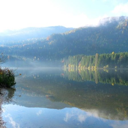 Ferienwohnung Neuper Bad Mitterndorf Bagian luar foto
