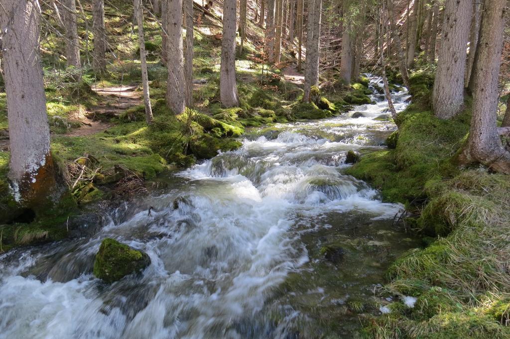 Ferienwohnung Neuper Bad Mitterndorf Bagian luar foto