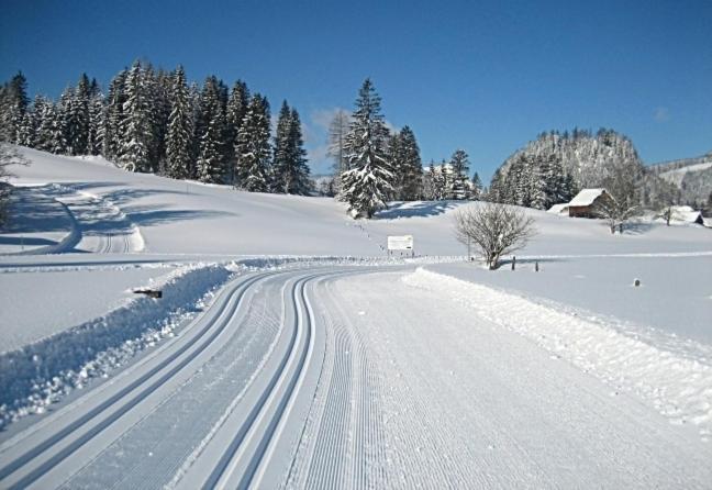 Ferienwohnung Neuper Bad Mitterndorf Bagian luar foto